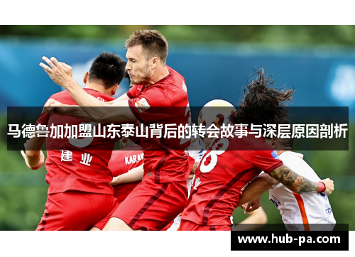 马德鲁加加盟山东泰山背后的转会故事与深层原因剖析